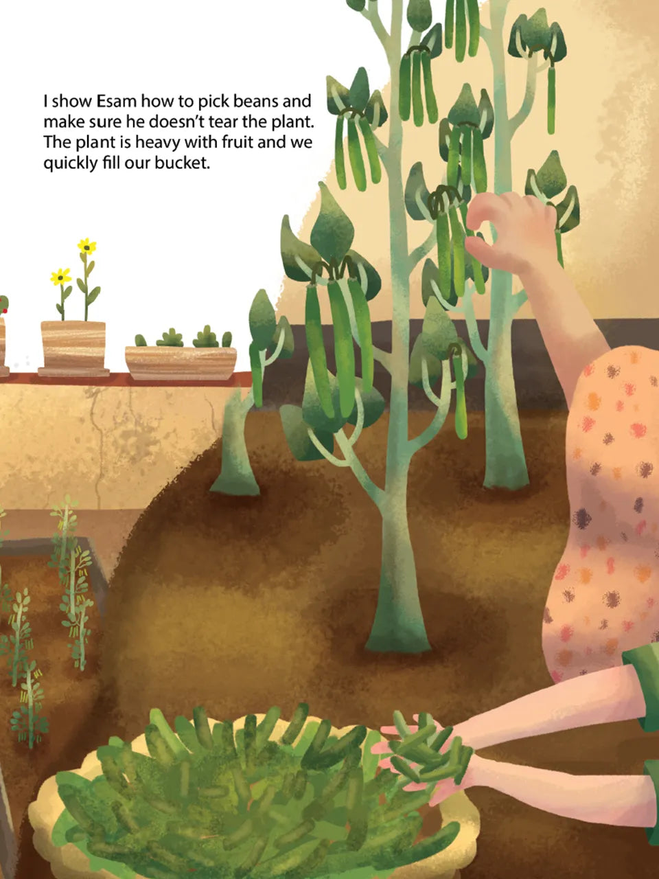 Gardens in Gaza Book & Activity Bundle