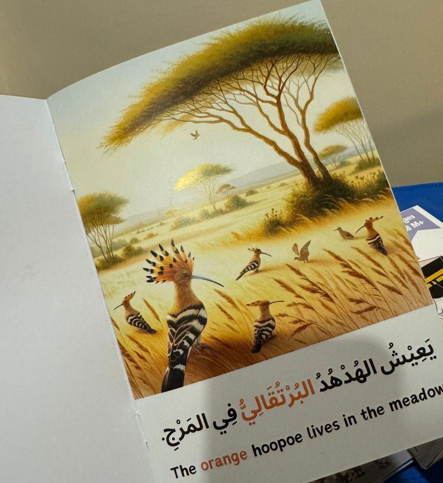 Animals from the Quran