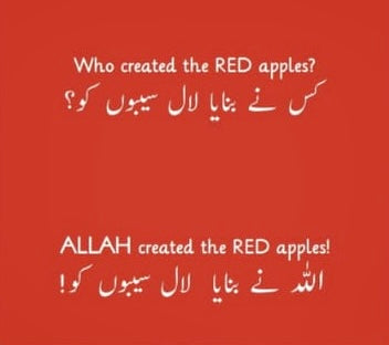 Who Created, Urdu-English Bilingual Book